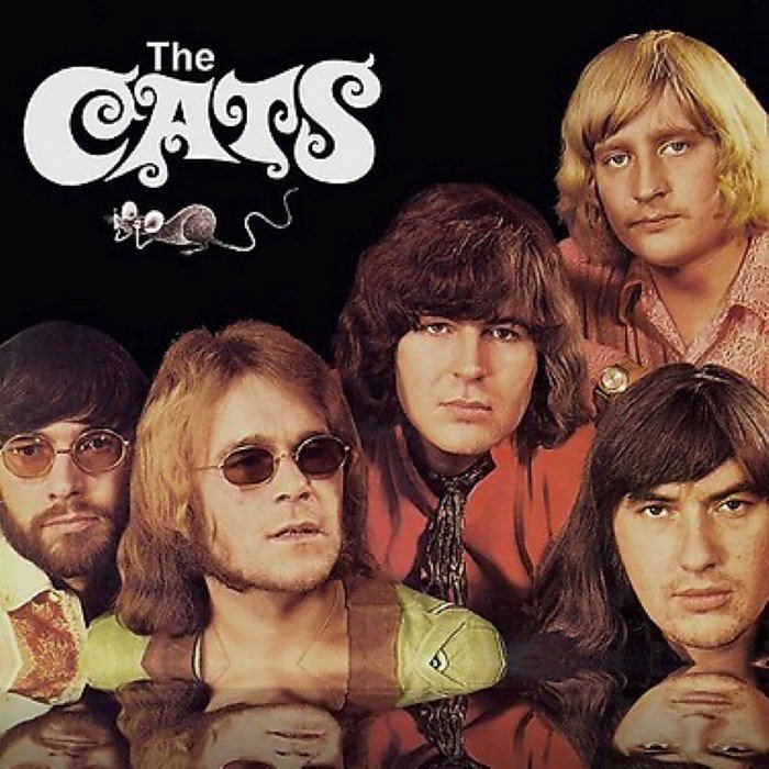 The cats скачать песни