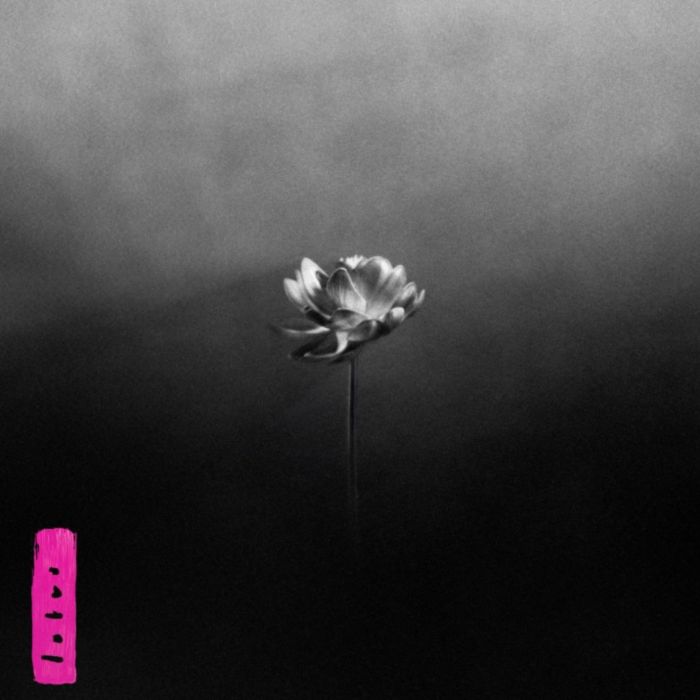 Album cover for Lotus - Little Simz