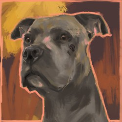 Album Thumb