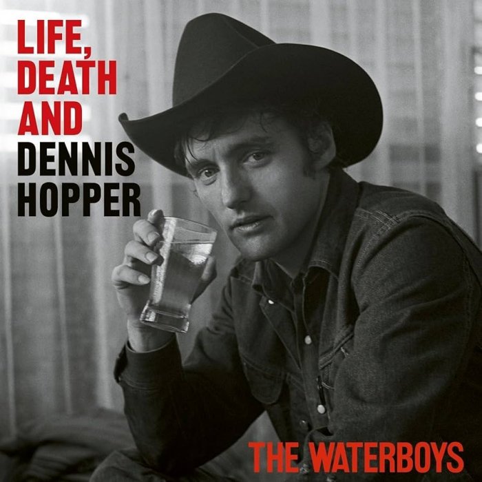 Album cover for Life, Death and Dennis Hopper - The Waterboys