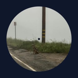 Album Thumb