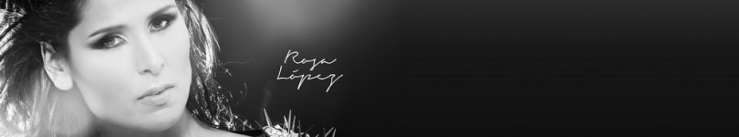 artist banner