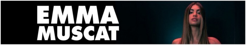 artist banner