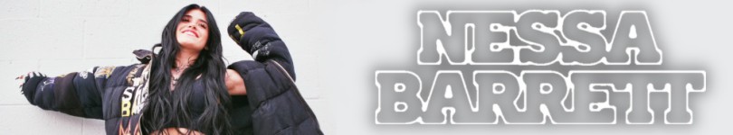 artist banner