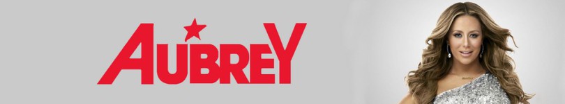 artist banner
