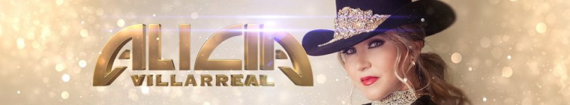 artist banner