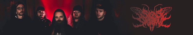 banner thumb
