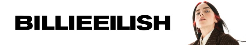 artist banner