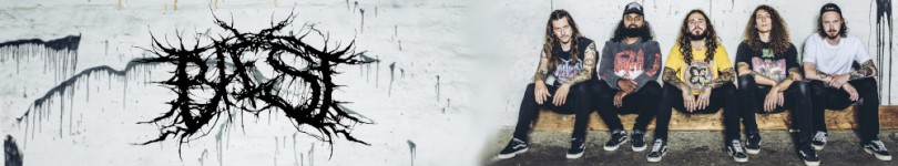 artist banner