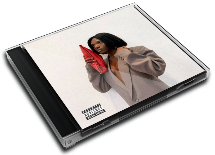 Album 3D Case