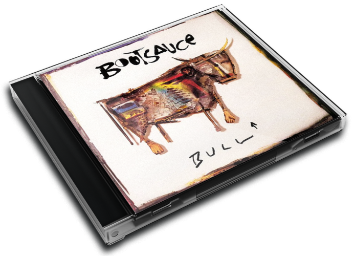Album 3D Case