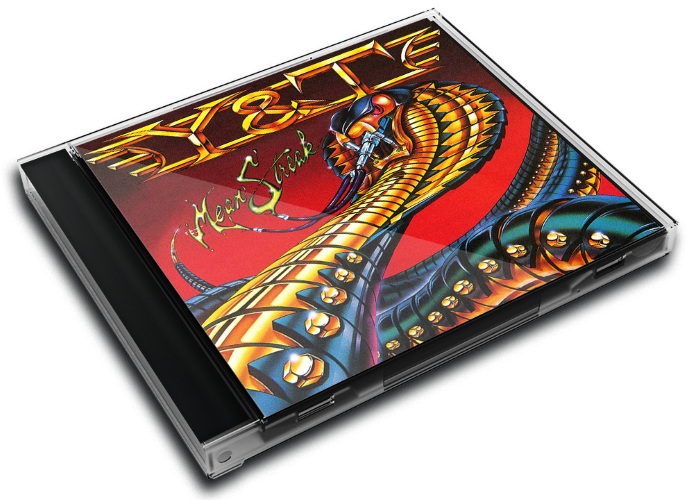 Album 3D Case