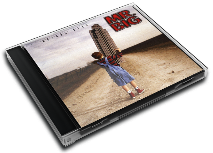 Album 3D Case