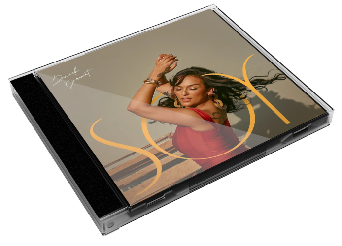 Album 3D Case