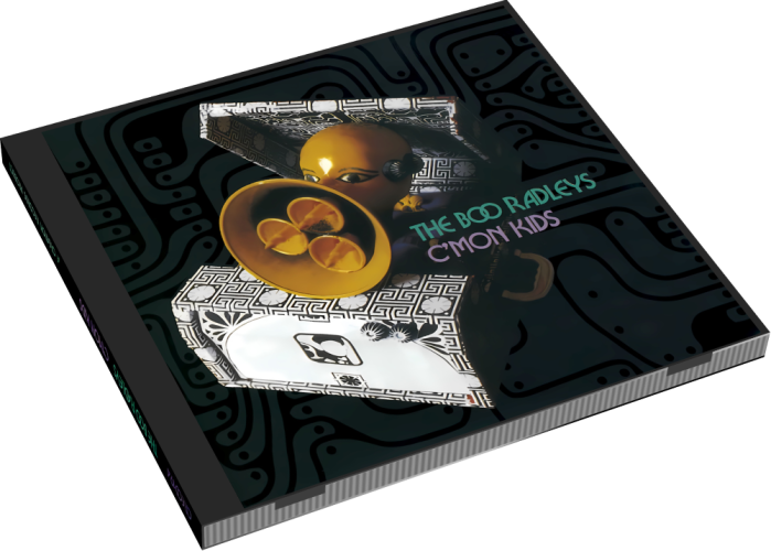 Album 3D Case