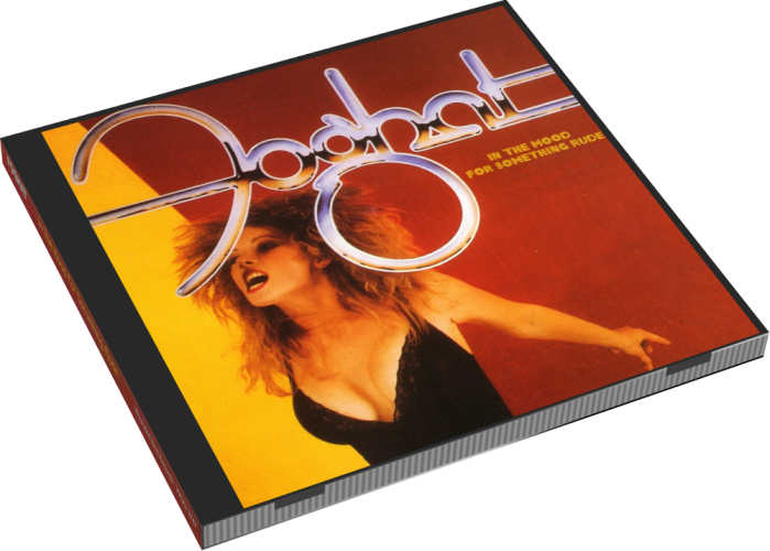 Album 3D Case