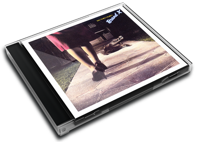 Album 3D Case