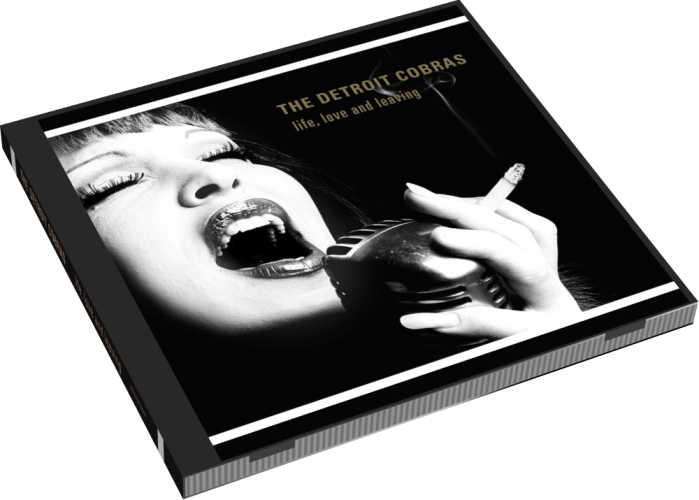 Album 3D Case