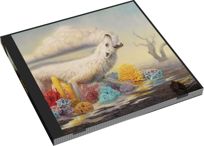 Album 3D Case