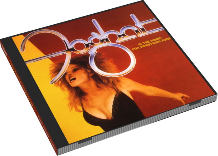 Album 3D Case