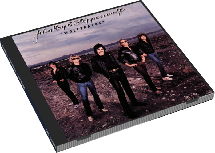 Album 3D Case