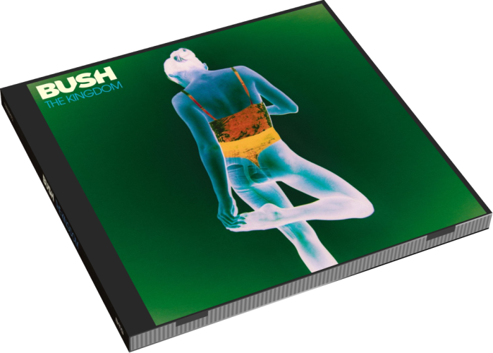 Album 3D Case