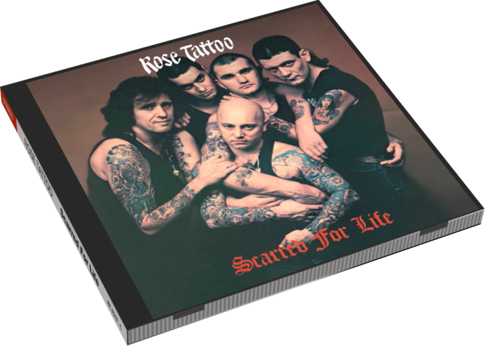Album 3D Case