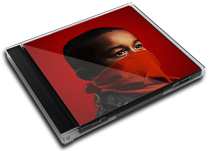 Album 3D Case