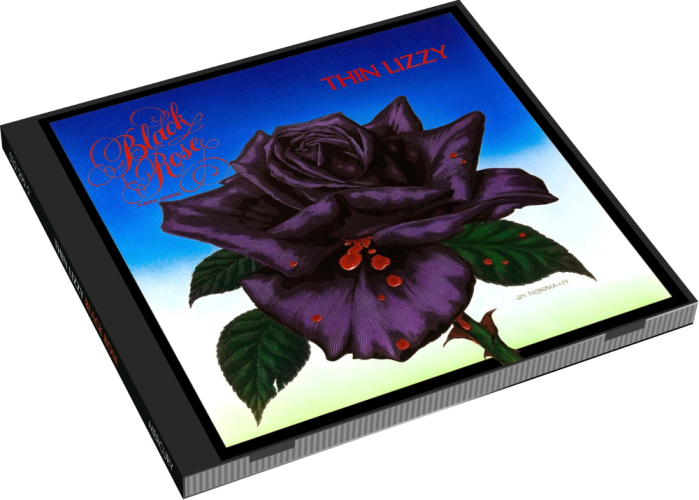 Album 3D Case