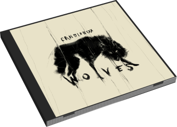 3d Case album thumb