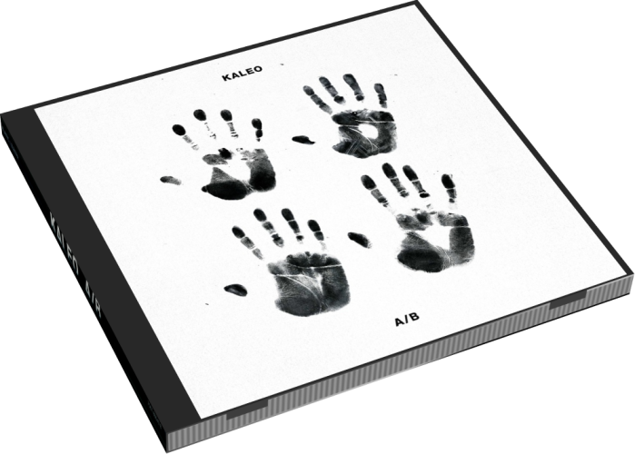 Album 3D Case