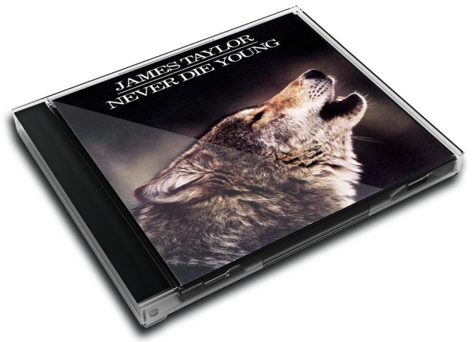 Album 3D Case