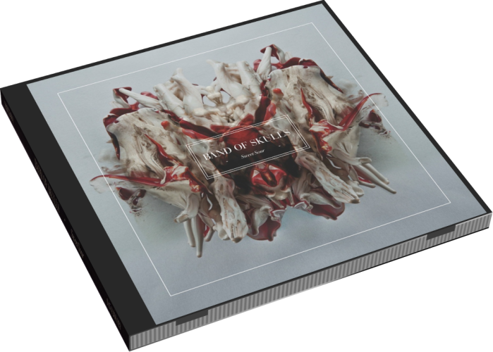 Album 3D Case