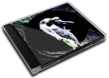 3d Case album thumb