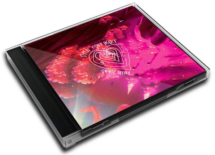 Album 3D Case