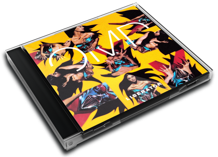 Album 3D Case