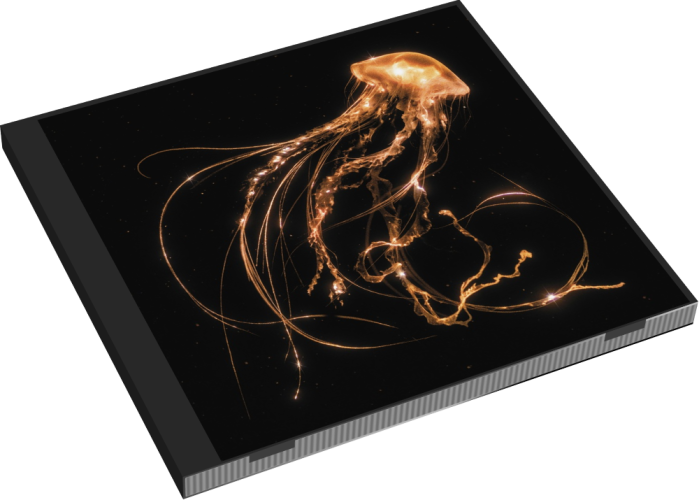 Album 3D Case