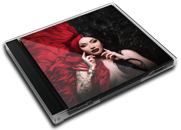 Album 3D Case