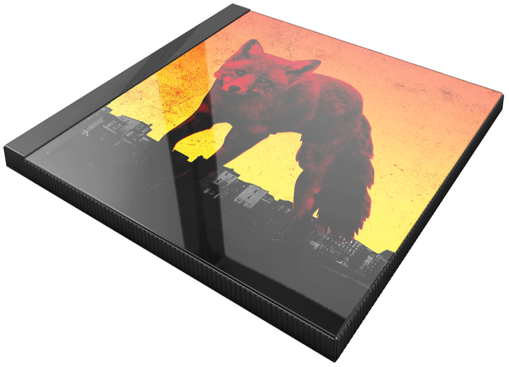 Full sized picture Image