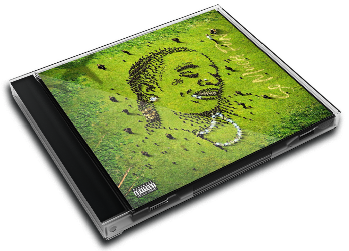 Album 3D Case