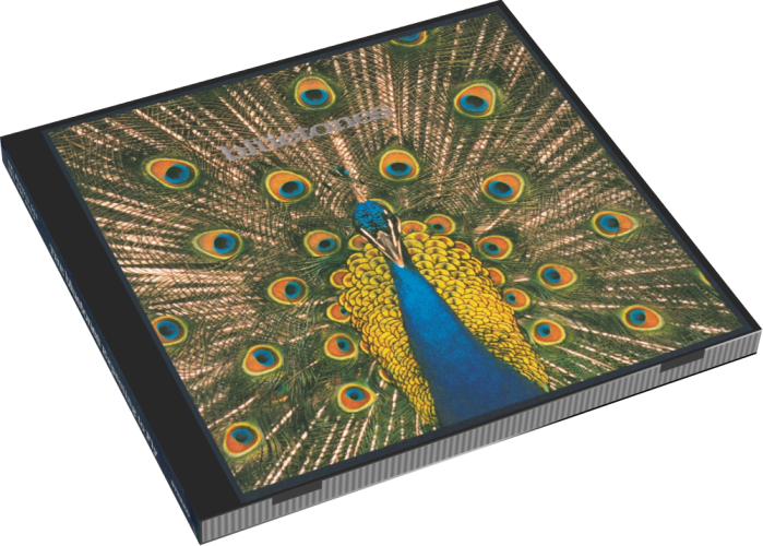 Album 3D Case