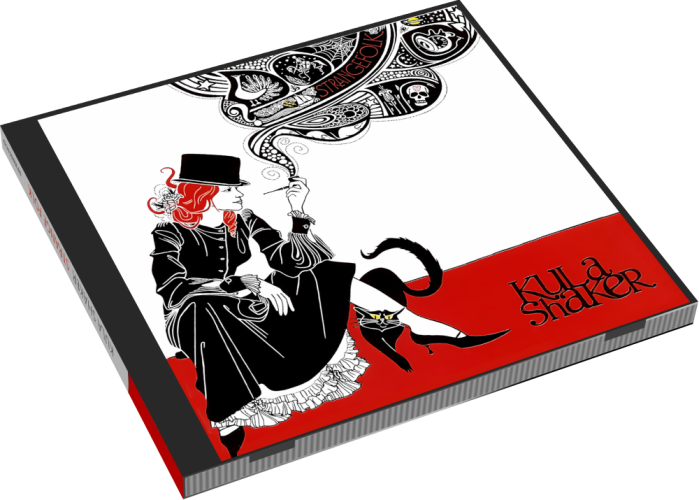 Album 3D Case