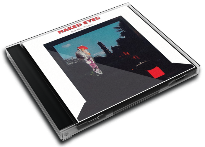 Album 3D Case
