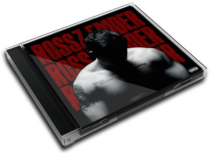 Album 3D Case