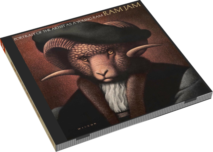 Album 3D Case
