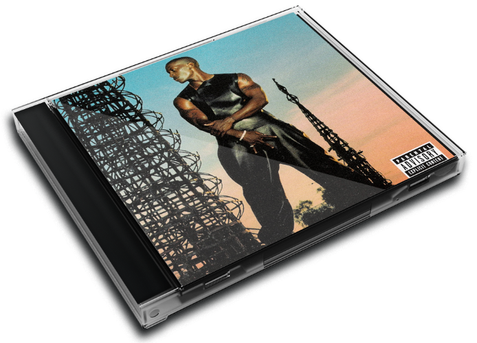 Album 3D Case
