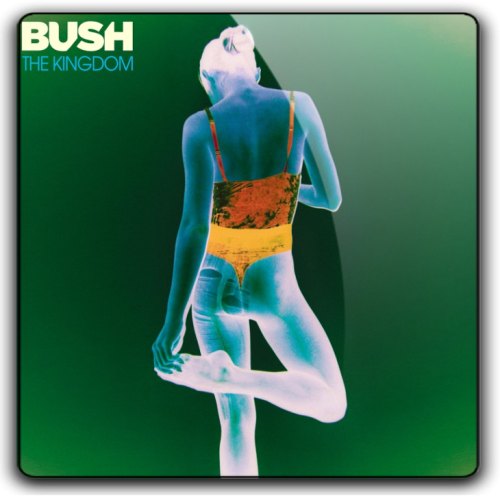Album 3D Thumb