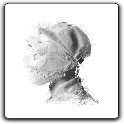Album 3D Thumb