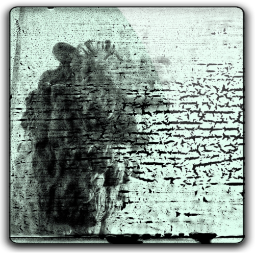 Album 3D Thumb