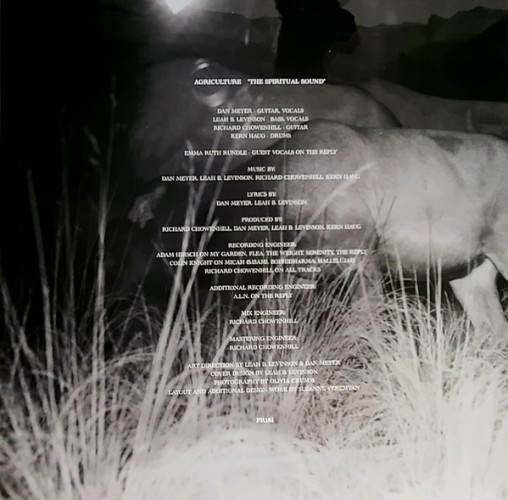 Album Back Cover